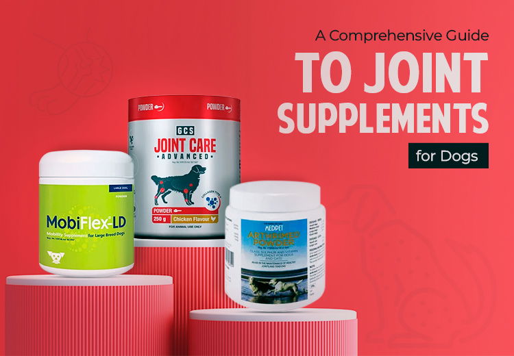 A Comprehensive Guide to Joint Supplements for Dogs